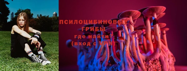 герыч Иннополис