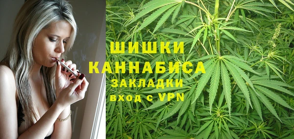 ALPHA-PVP Каменка